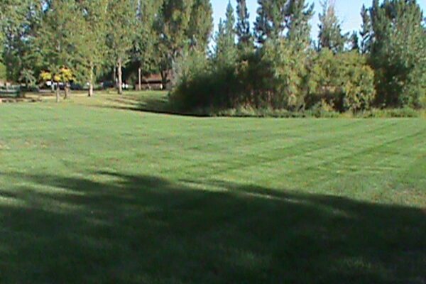 Landscaping Company Larimer County