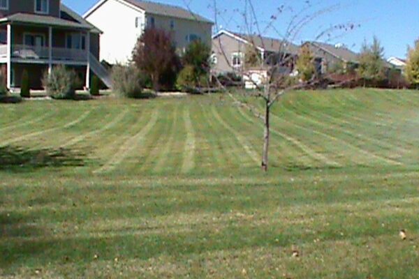 Hills Mowing and Landscape