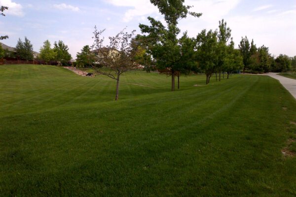 Hills Mowing & Landscaping