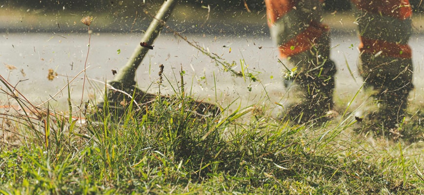 how-often-should-you-cut-your-grass-in-colorado