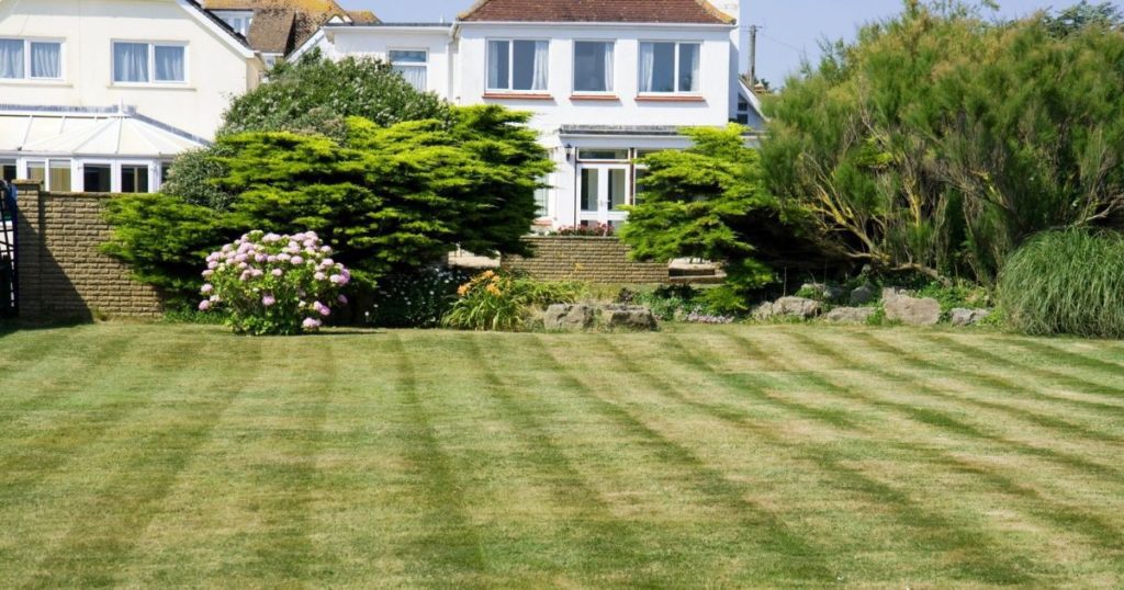 House with large lawn