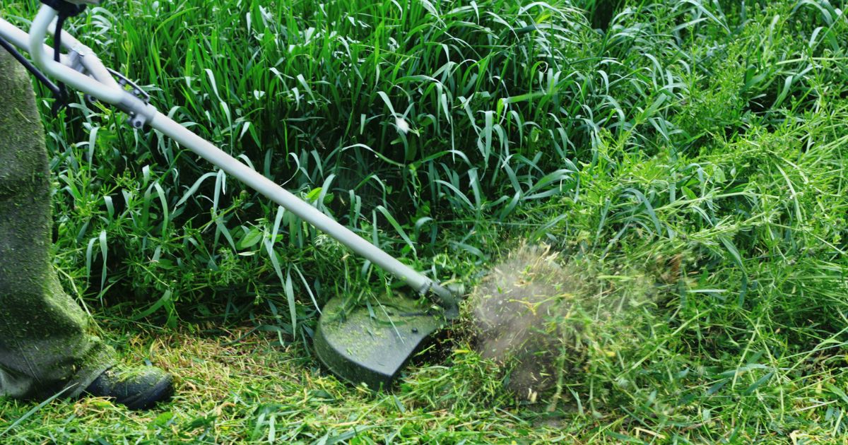 Worker clearing brush