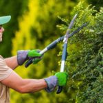 Gardener pruning plants