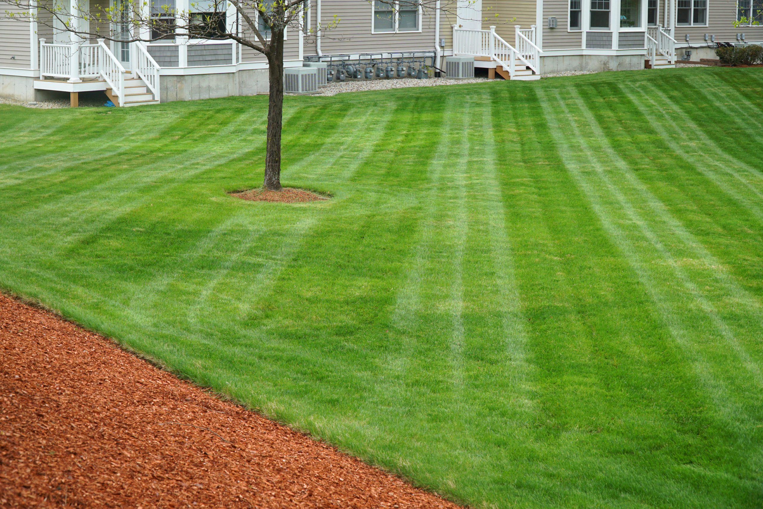 apartment building with mowed green lawn