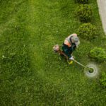 lawn expert working on lawn mowing