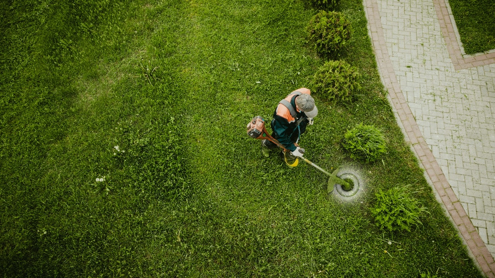 lawn expert working on lawn mowing