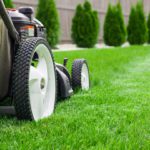 Lawn mowing done by professional with mower cutting green grass in backyard