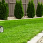 Lawn mower cutting green grass in backyard, mowing lawn for residential landscaping