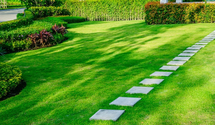 Pathway in green lawns with bricks pathways